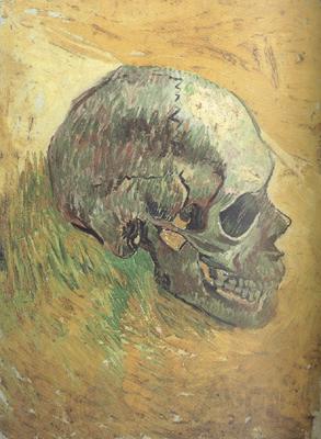 Vincent Van Gogh Skull (nn04) Spain oil painting art
